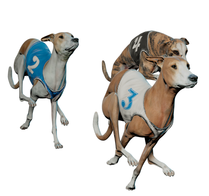 Virtual Greyhound Sprint